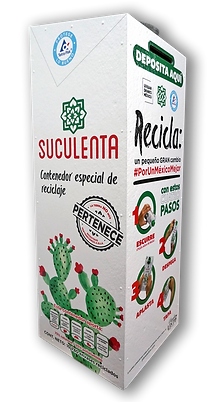 Contenedor Suculenta Lateral 1.png